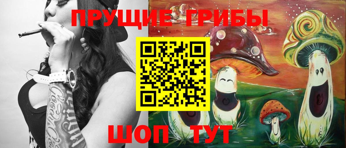 Псилоцибиновые грибы GOLDEN TEACHER  Галлюциногенные грибы мицелий  Вход с VPN  Видное 